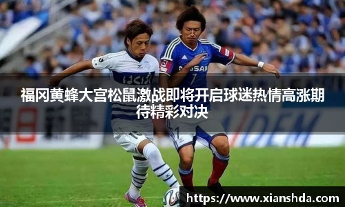 福冈黄蜂大宫松鼠激战即将开启球迷热情高涨期待精彩对决
